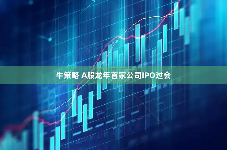 牛策略 A股龙年首家公司IPO过会